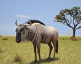 Wildebeest Low Poly 3d model