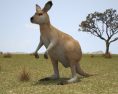 Kangaroo Joey 3D модель