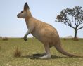 Kangaroo Joey Modelo 3D
