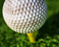 Golf Ball 3d model