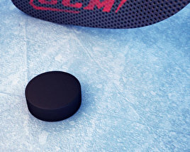 Hockey Stick and Puck 3D model