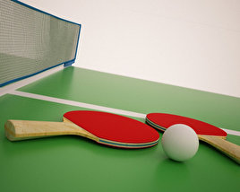 Tischtennisschläger 3D-Modell