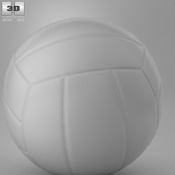 Water Polo Ball 3d model