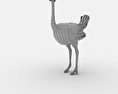 Ostrich Low Poly 3d model