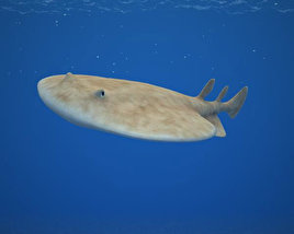 Pacific Electric Ray 3D модель