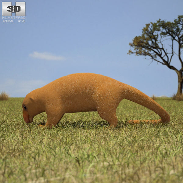 Silky Anteater 3D模型