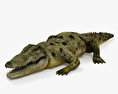 Crocodilo Modelo 3d