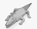 Common Crocodile HD 3d model