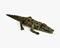 Common Crocodile HD 3d model