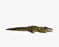 Crocodilo Modelo 3d
