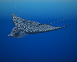 Spotted Eagle Ray Low Poly 3D model