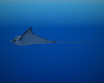 Spotted Eagle Ray Modello 3D