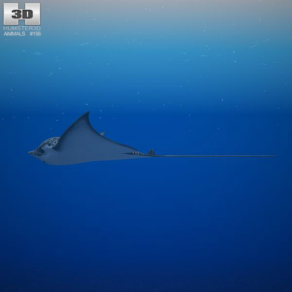 Spotted Eagle Ray 3D模型