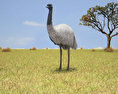Emu Modèle 3d