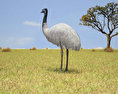 Emu Modèle 3d