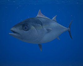 Atlantic Bluefin Tuna Low Poly 3D model