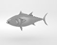Atlantic Bluefin Tuna 3D模型