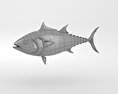 Atlantic Bluefin Tuna 3D 모델 