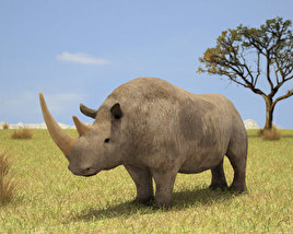 Woolly Rhinoceros 3Dモデル