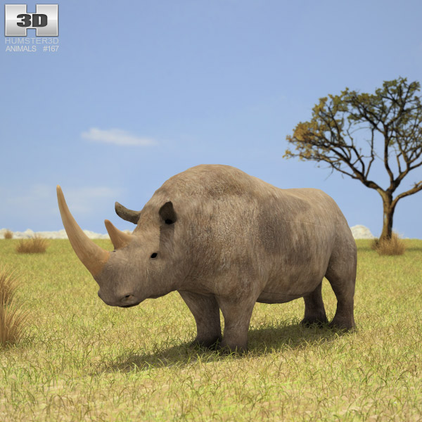Woolly Rhinoceros 3D model
