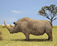 Woolly Rhinoceros Modello 3D