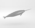 Narwhal Low Poly 3d model