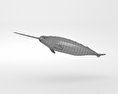 Narwhal Low Poly 3d model