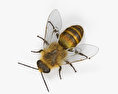 蜜蜂 3D模型