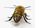 Honey Bee HD 3d model