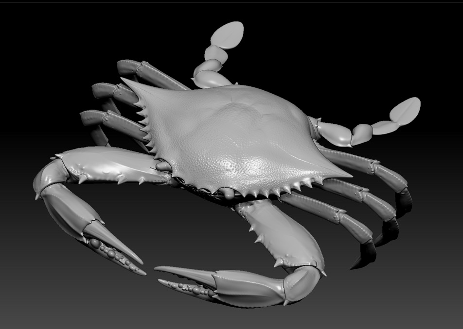 crab zbrush