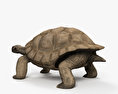Tortuga gigante de Floreana Modelo 3D