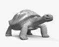 Tartaruga-das-galápagos Modelo 3d