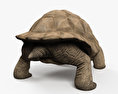 Tartaruga-das-galápagos Modelo 3d