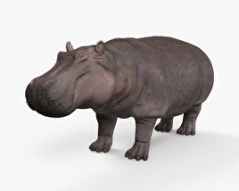 Hipopótamo Modelo 3d