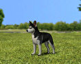 Siberian Husky Puppy Modello 3D