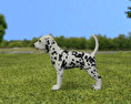 Dalmatian Puppy Modello 3D