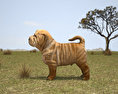 Shar Pei Puppy 3D模型