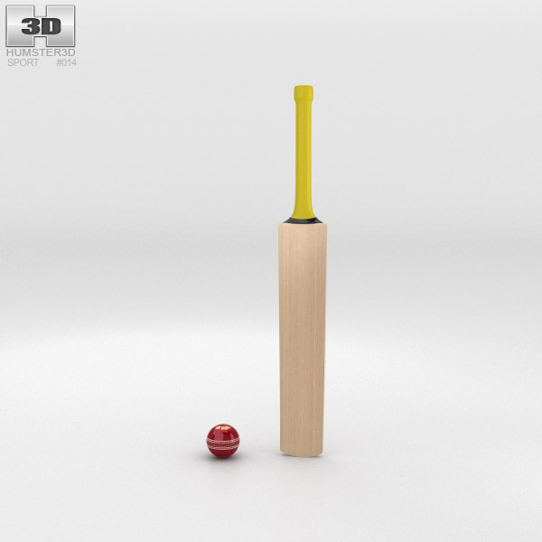 Cricket Bat and Ball 3D model
