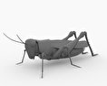 Desert Locust 3d model