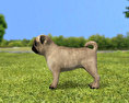 Pug Puppy Modello 3D