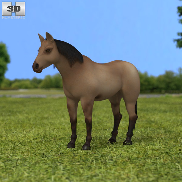 American Quarter Horse Modello 3D