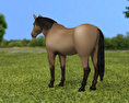 American Quarter Horse 3D 모델 