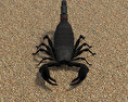 Emperor Scorpion 3D 모델 