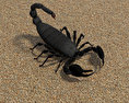 Emperor Scorpion Modello 3D