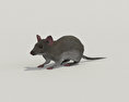 Mouse Gray 3D 모델 