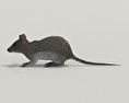 Mouse Gray 3D 모델 