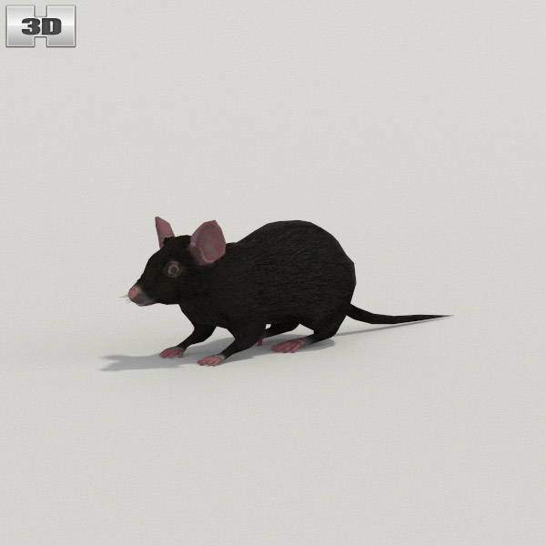Mouse Black Low Poly 3d model