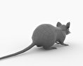Mouse Black Low Poly 3d model