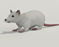 白鼠 3D模型