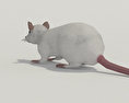 Rato Branco Modelo 3d